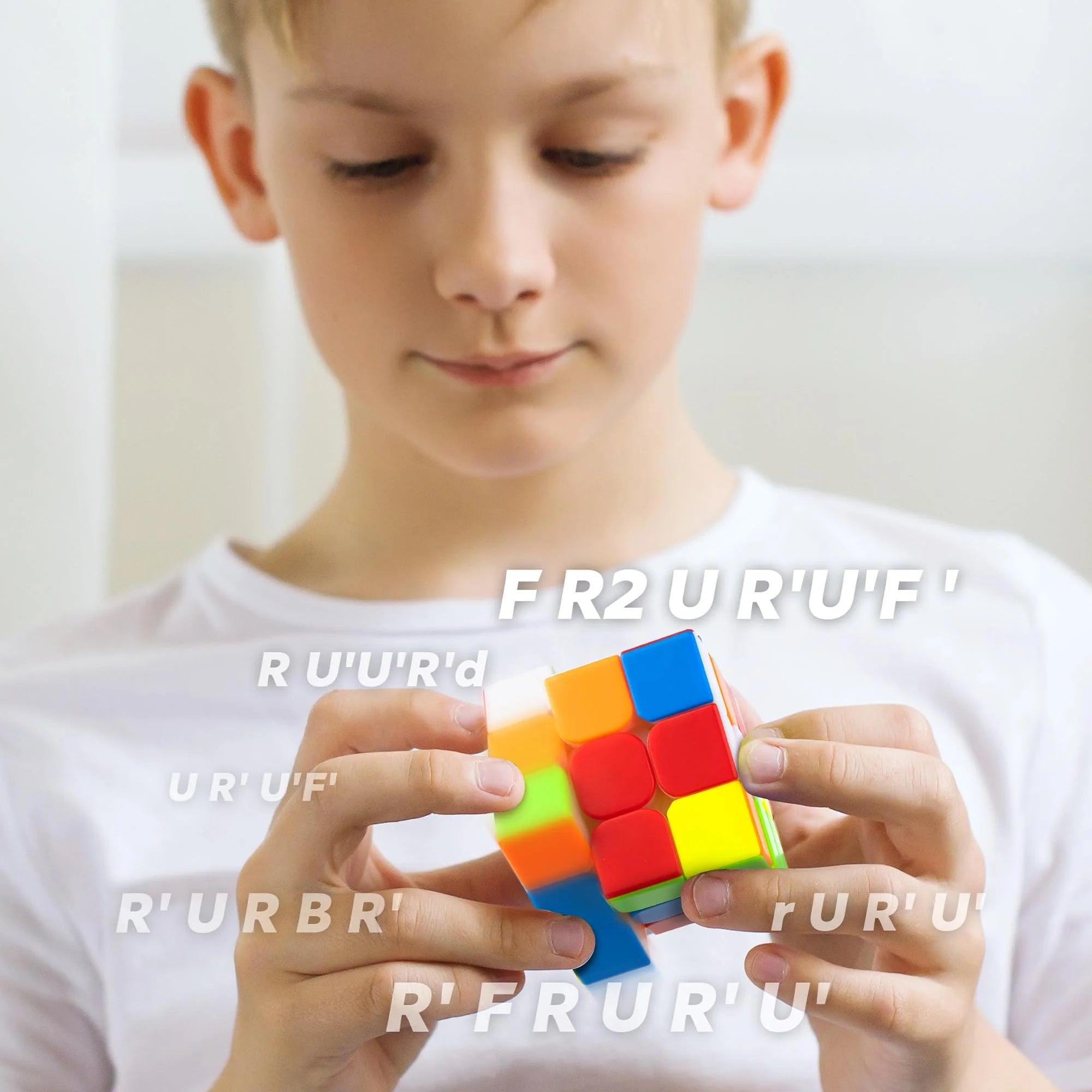 Cyclone Boys Professional Stickerless High Speed Cube
