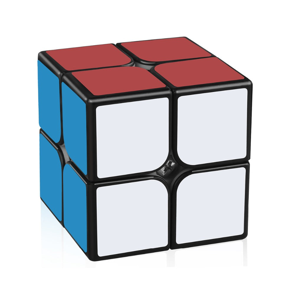 D-FantiX Yj Guanpo 2x2 Speed Cube